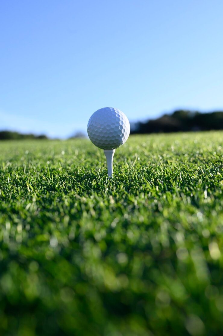 wwt championship banner golf ball