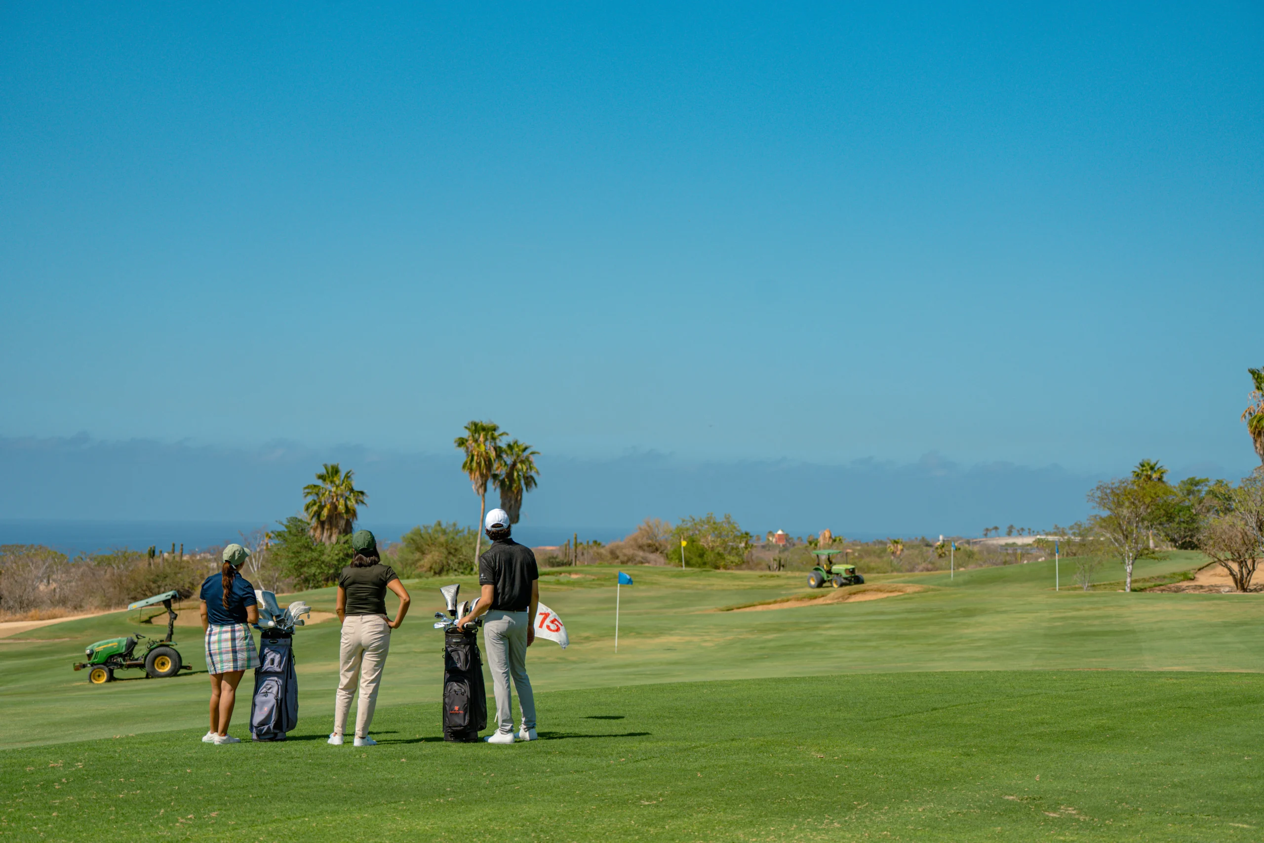 cabo del sol golf course