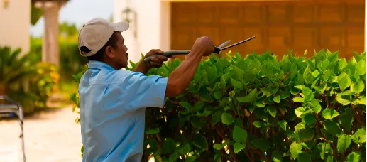 Jardinero cuidando áreas comunes