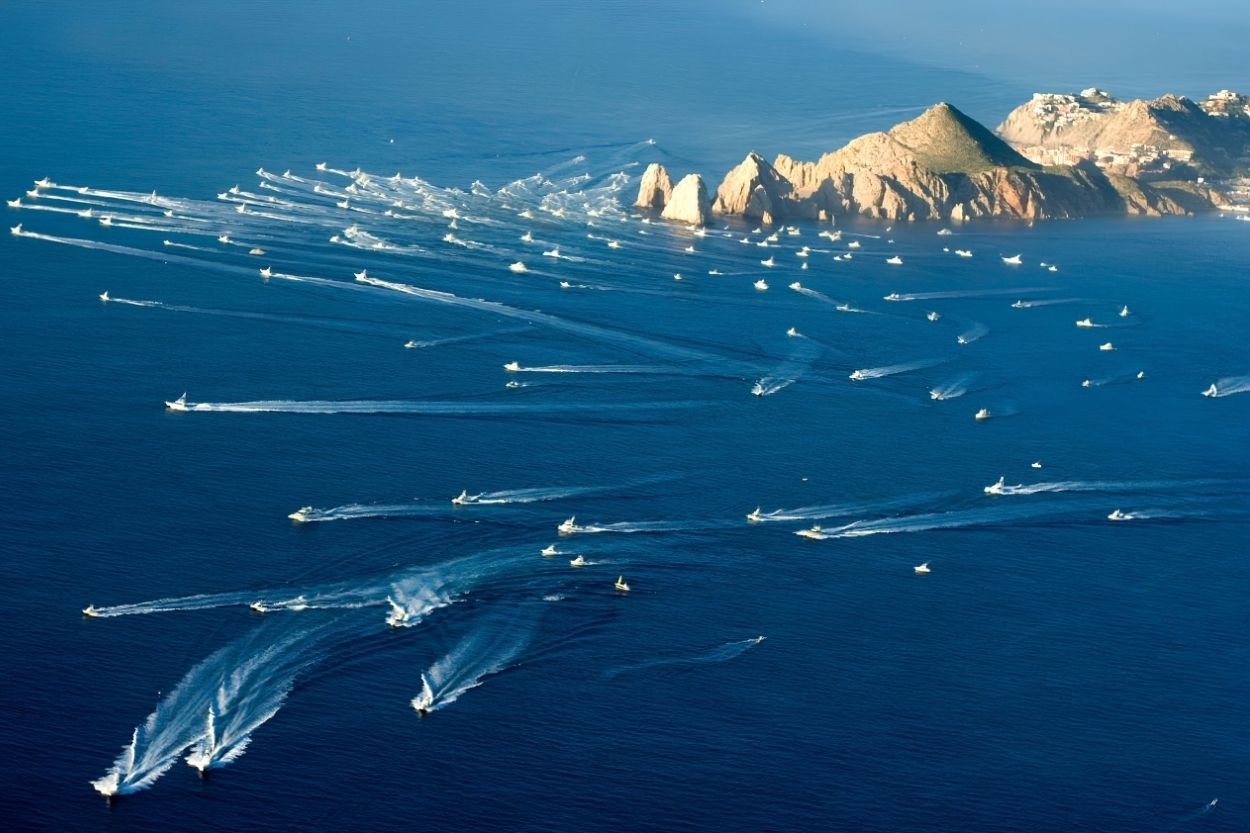 cabo san lucas marina marlin fishing boats