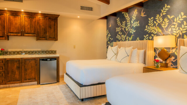 Palmaritos 6 Cabo Del Sol Image 29