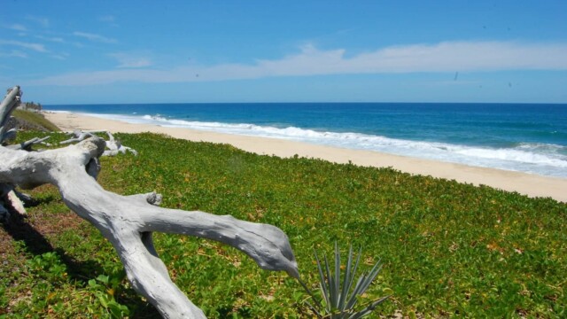 Villa Estero Image 21