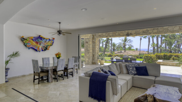 the white rose image11 the white rose image11