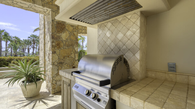 the white rose image14 the white rose image14