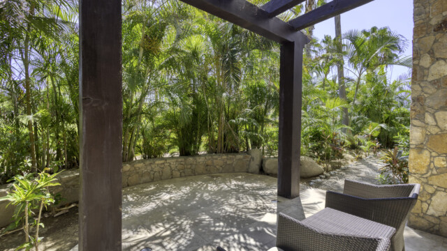 the white rose image22 the white rose image22