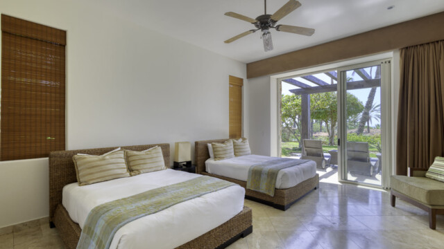 the white rose image24 the white rose image24