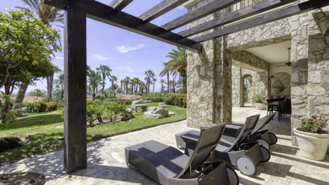 the white rose image27 the white rose image27