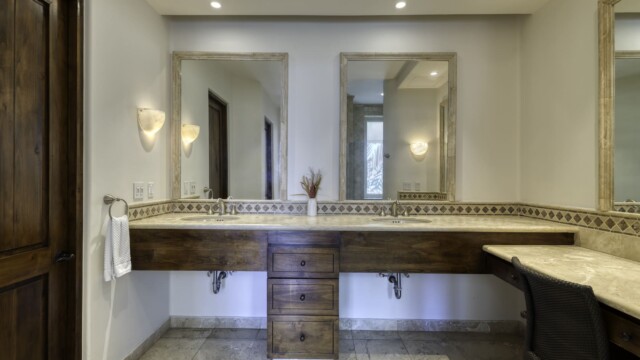 the white rose image28 the white rose image28