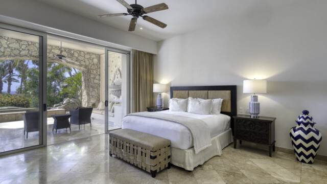 the white rose image31 the white rose image31