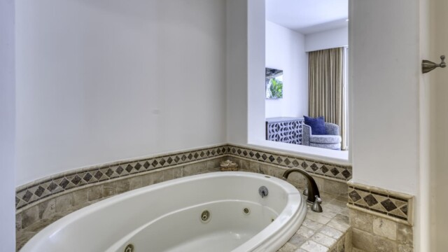 the white rose image38 the white rose image38