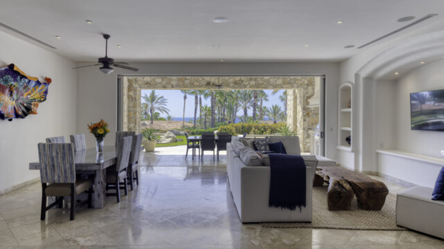 the white rose image5 the white rose image5