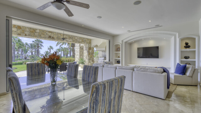 the white rose image6 the white rose image6