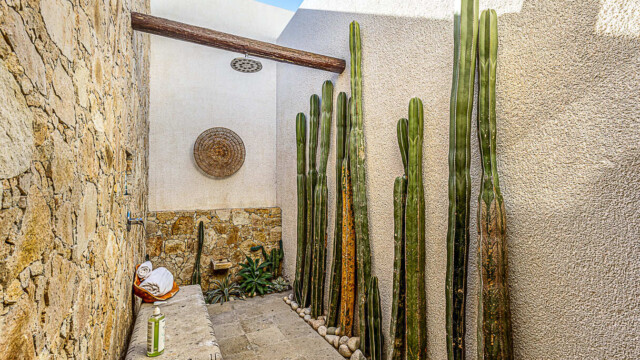 dos hermanas image 12 dos hermanas image 12