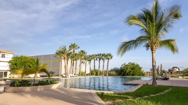 alberca palmeras dunas condo Large outdoor pool surrounded by green areas, palm trees, and lounge chairs at Dunas Condo.
