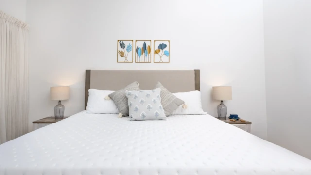 cama decorada alojamiento dunas condo Bed with an upholstered headboard, decorative cushions, and three leaf-motif framed prints on the wall.